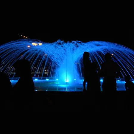 Comfy In * 비비오네